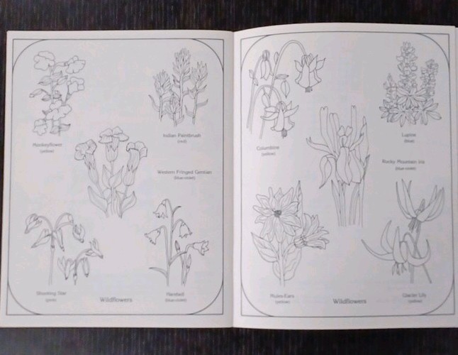 VTG Yellowstone, A Children’s Guide, 1981 National Parks, Coloring Book