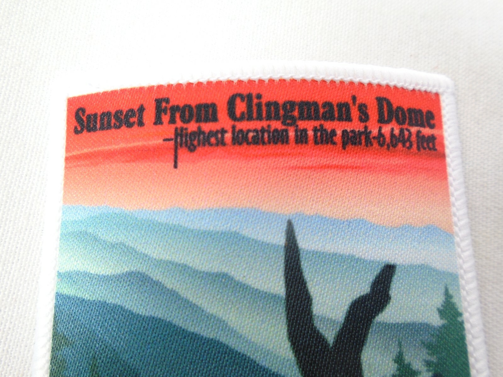Clingmans Dome Great Smoky Mountains National Park Sunset Black Bear Tree Patch