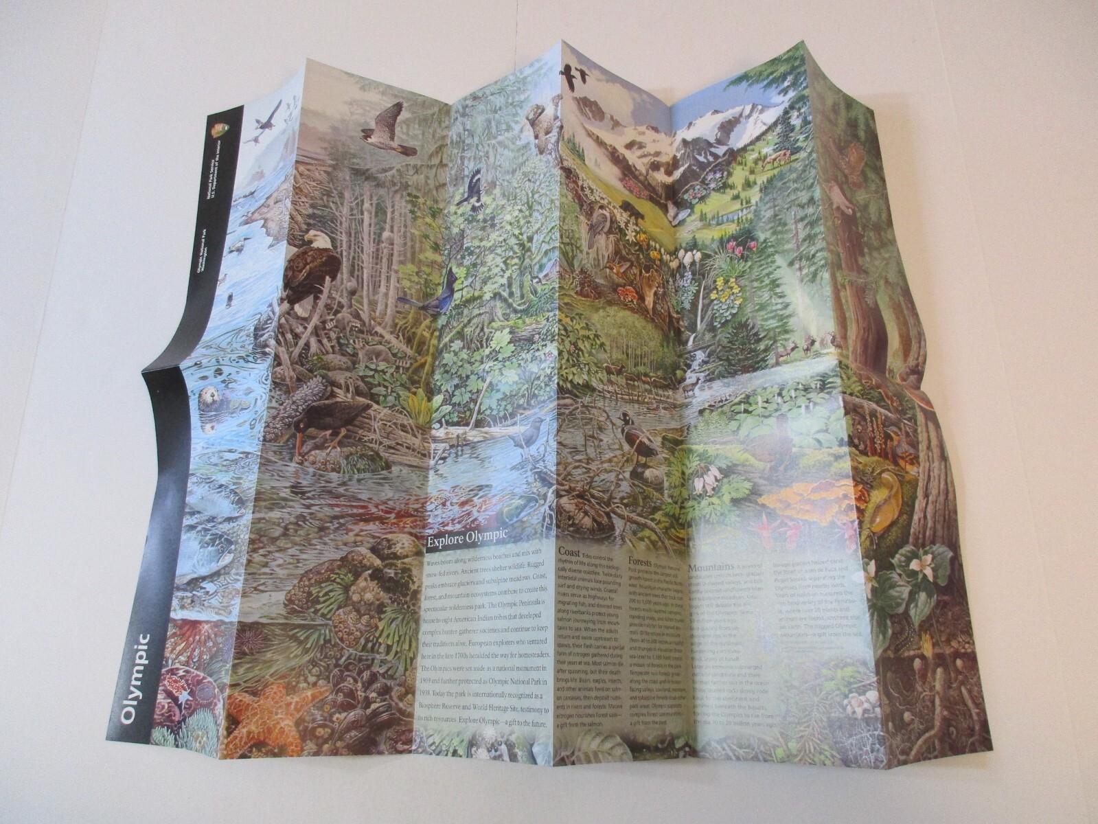 2020 Olympic Washington National Park System Brochure Map Guide~B24