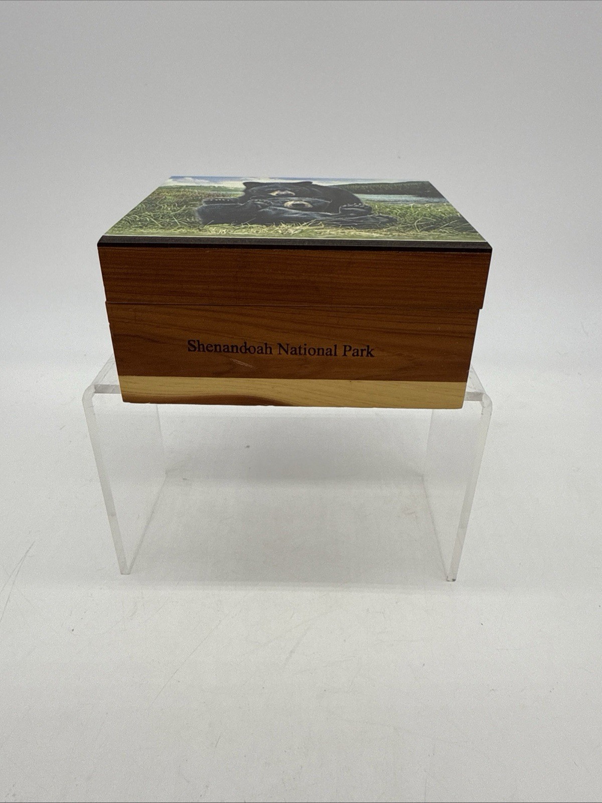Vintage Shenandoah National Park Cedar Box Bear Theme Nature Wood Souvenir