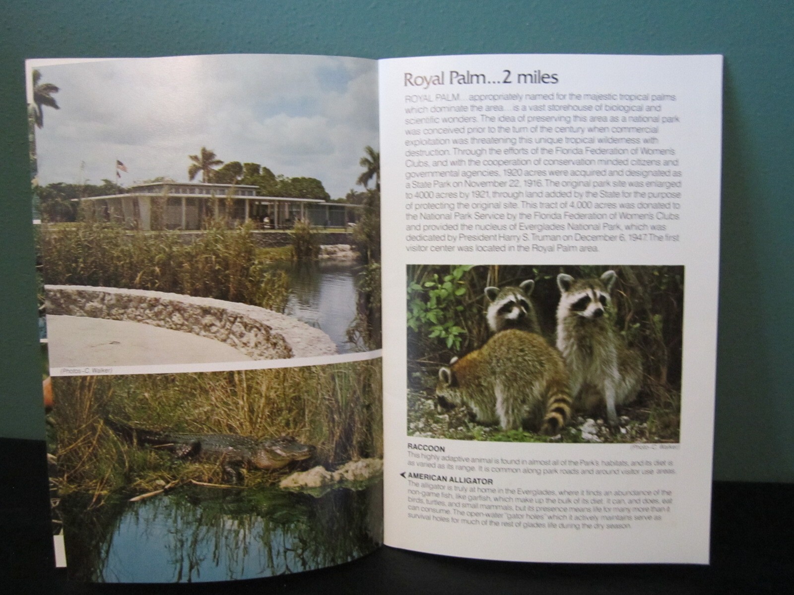 Motorist’s Guide Everglades National Park Dry Tortugas 24 Pg Color Photos ©1974