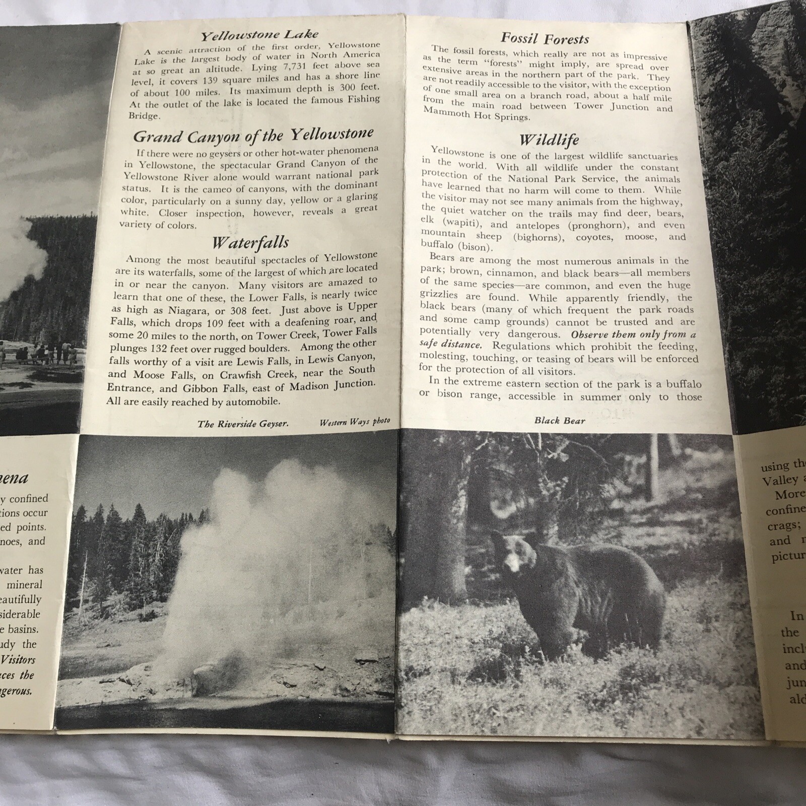 Vintage Yellowstone National Park Map Guide Brochure 1949