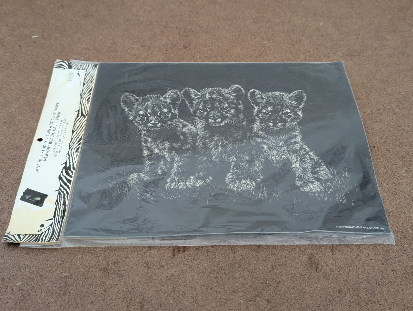 Vintage 5 SEQUOIA AND KINGS CANYON LITHOGRAPHIC REPRODUCTIONS1977 Jane Hill