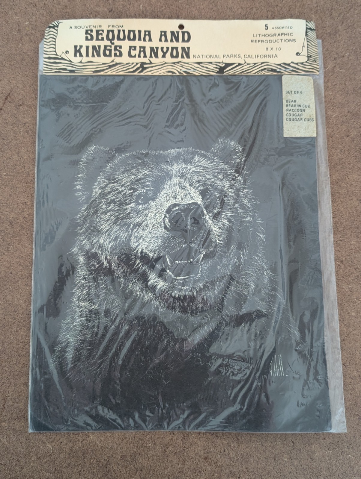 Vintage 5 SEQUOIA AND KINGS CANYON LITHOGRAPHIC REPRODUCTIONS1977 Jane Hill