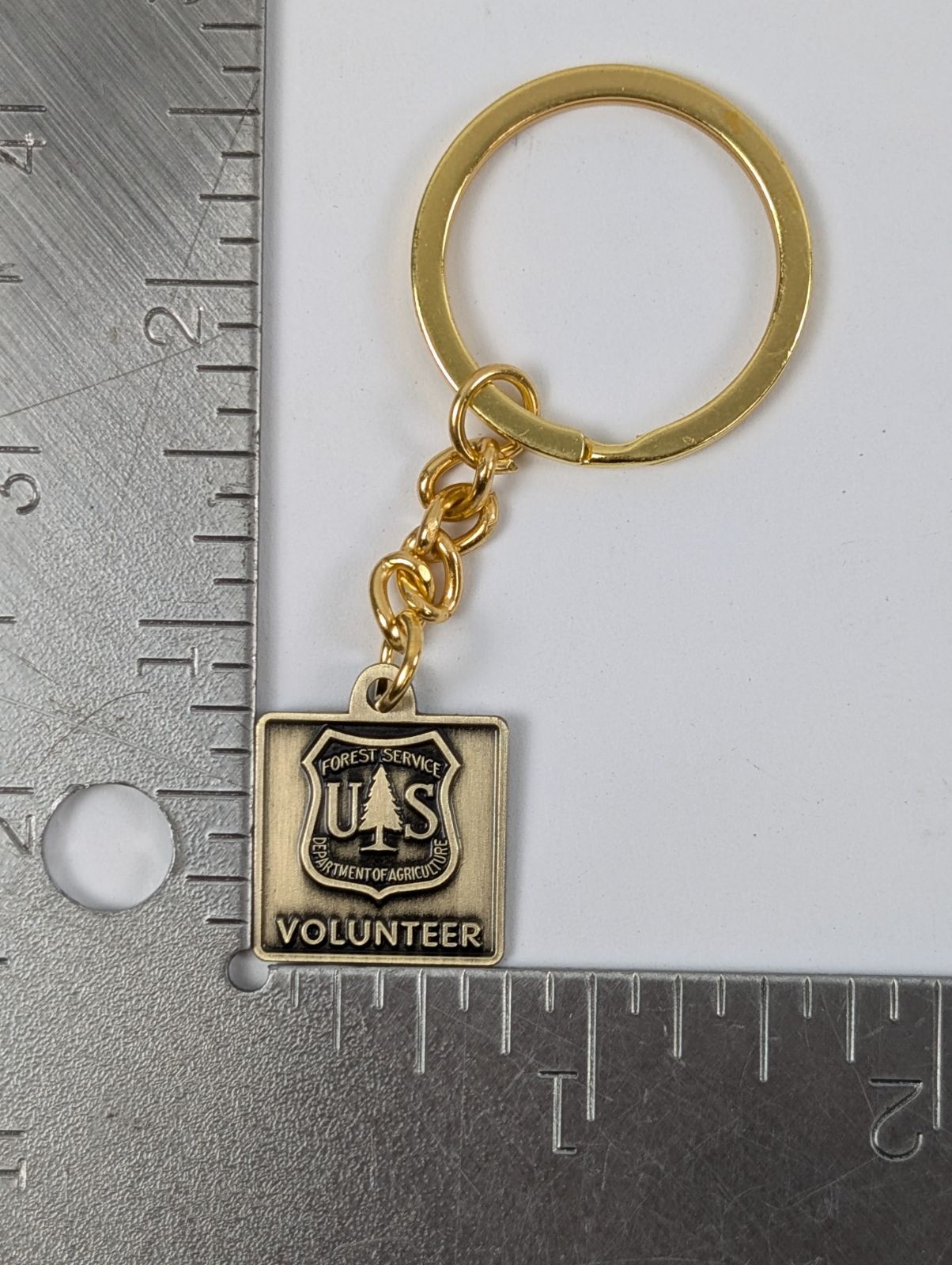 Vintage US Forest Service Volunteer Keychain Western Heritage Set of 3