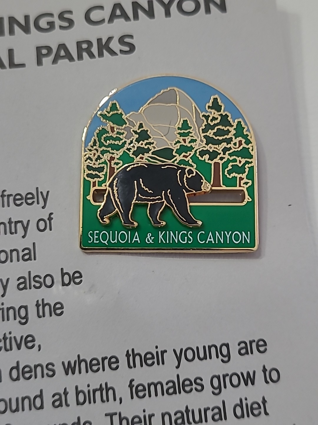 Black Bear On Slider Lapel Pin Sequoia Kings Canyon California Park Souvenir