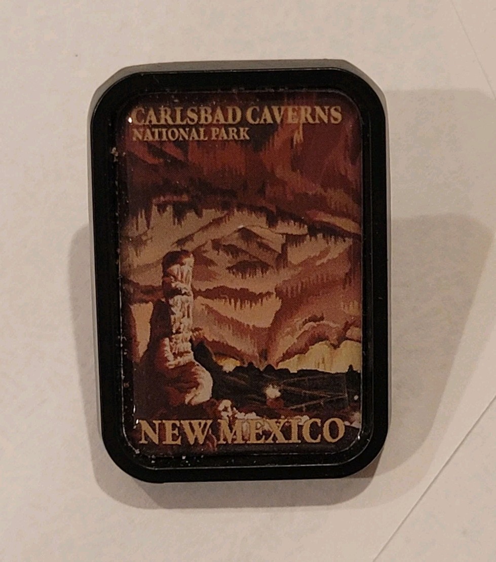 Carlsbad Caverns National Park Pin NPS New Mexico