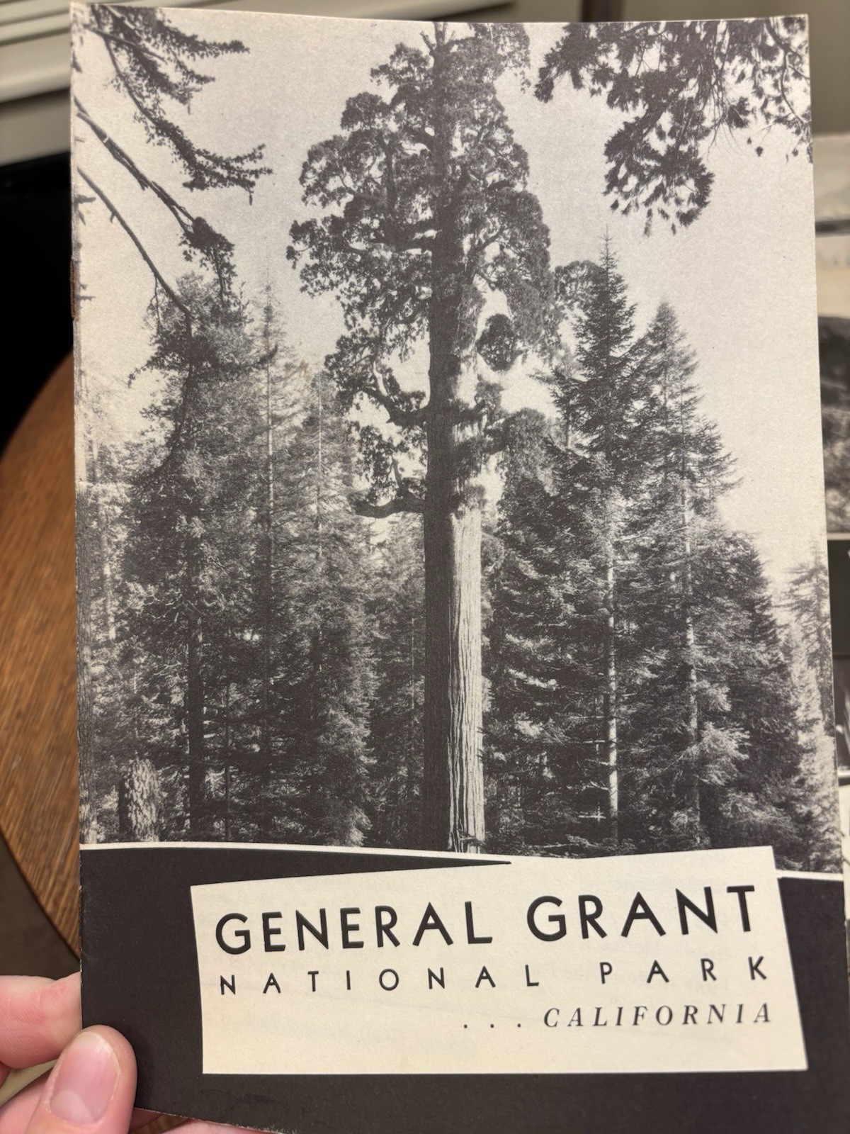 Ultra Rare 1939–1940 National Park Service Brochure Lot – 12 Original WPA-Era B1