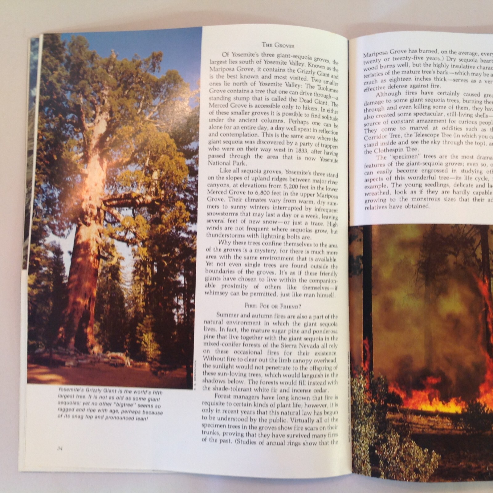 Vintage 1984 Souvenir Color Booklet Yosemite: The Story Behind the Scenery