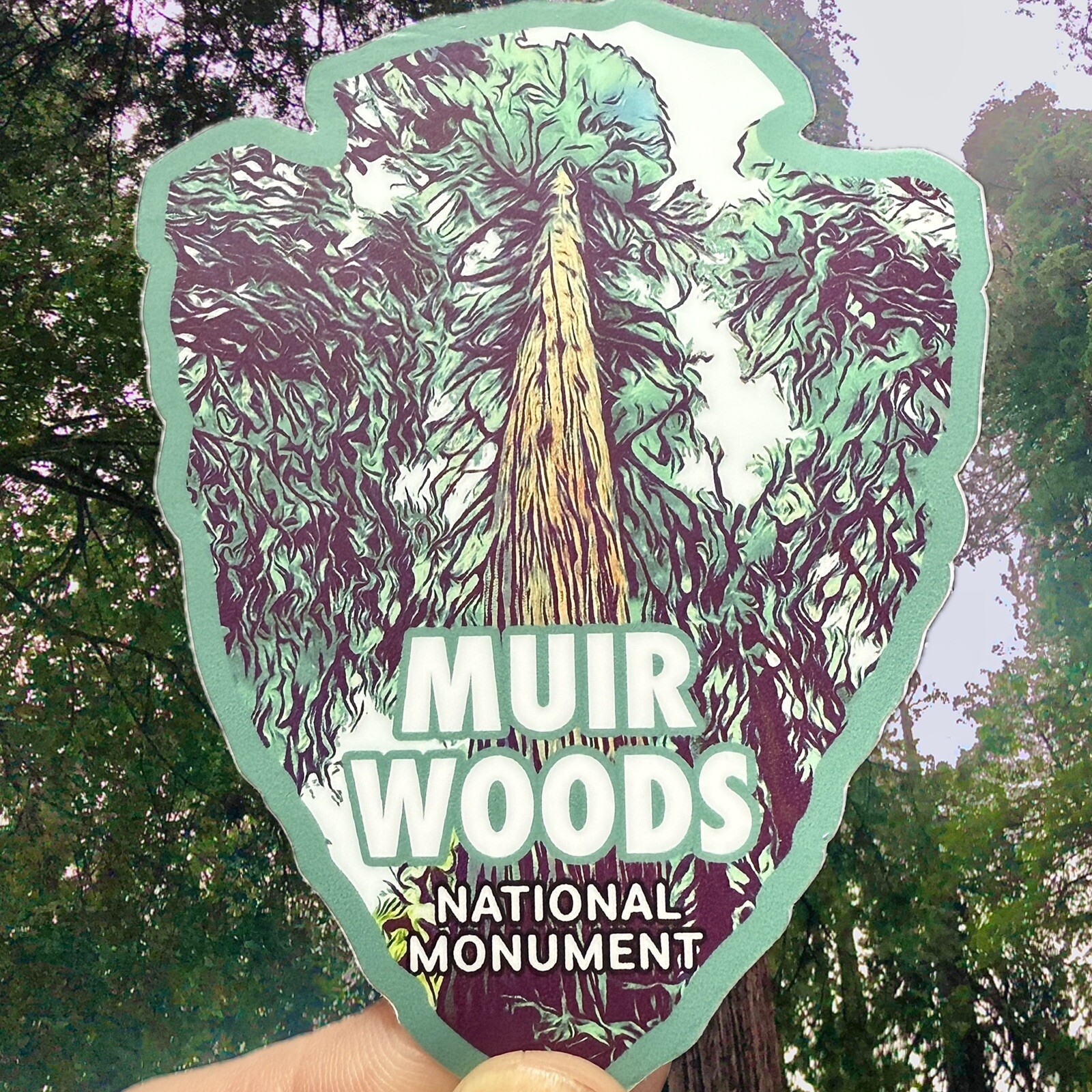 Muir Woods National Monument Weatherproof Vinyl Sticker