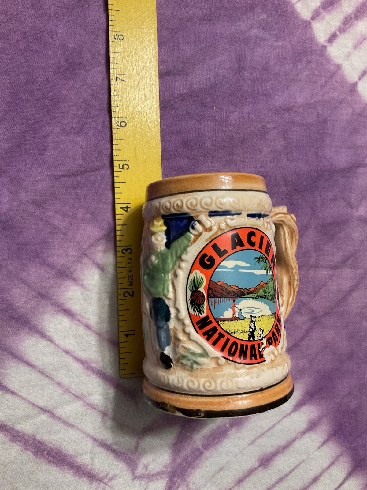 Glacier National Park National Parks Theme Ceramic Souvenir Beer Mug Stein Japan