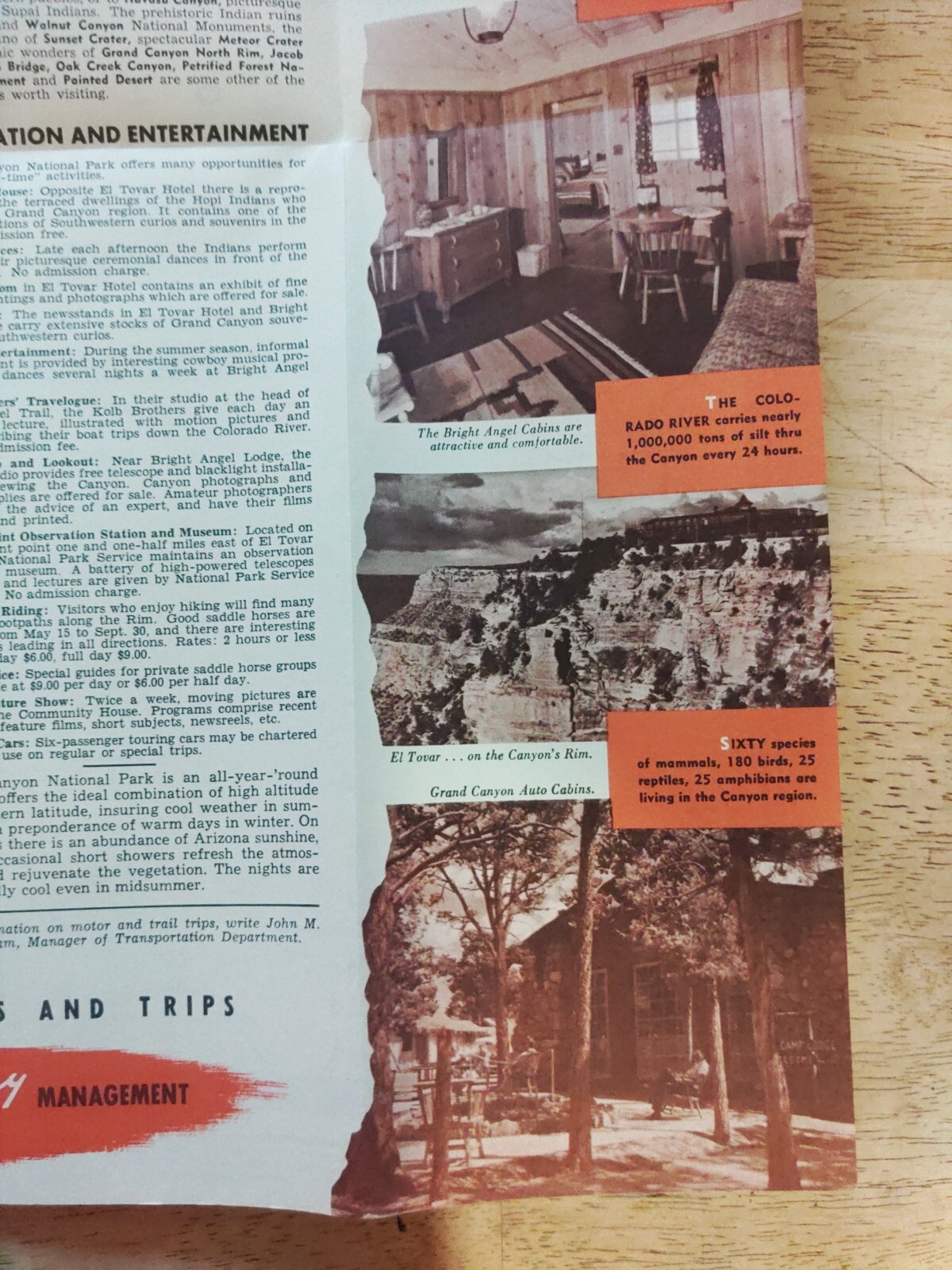 Vintage 1956 Grand Canyon Pamphlet