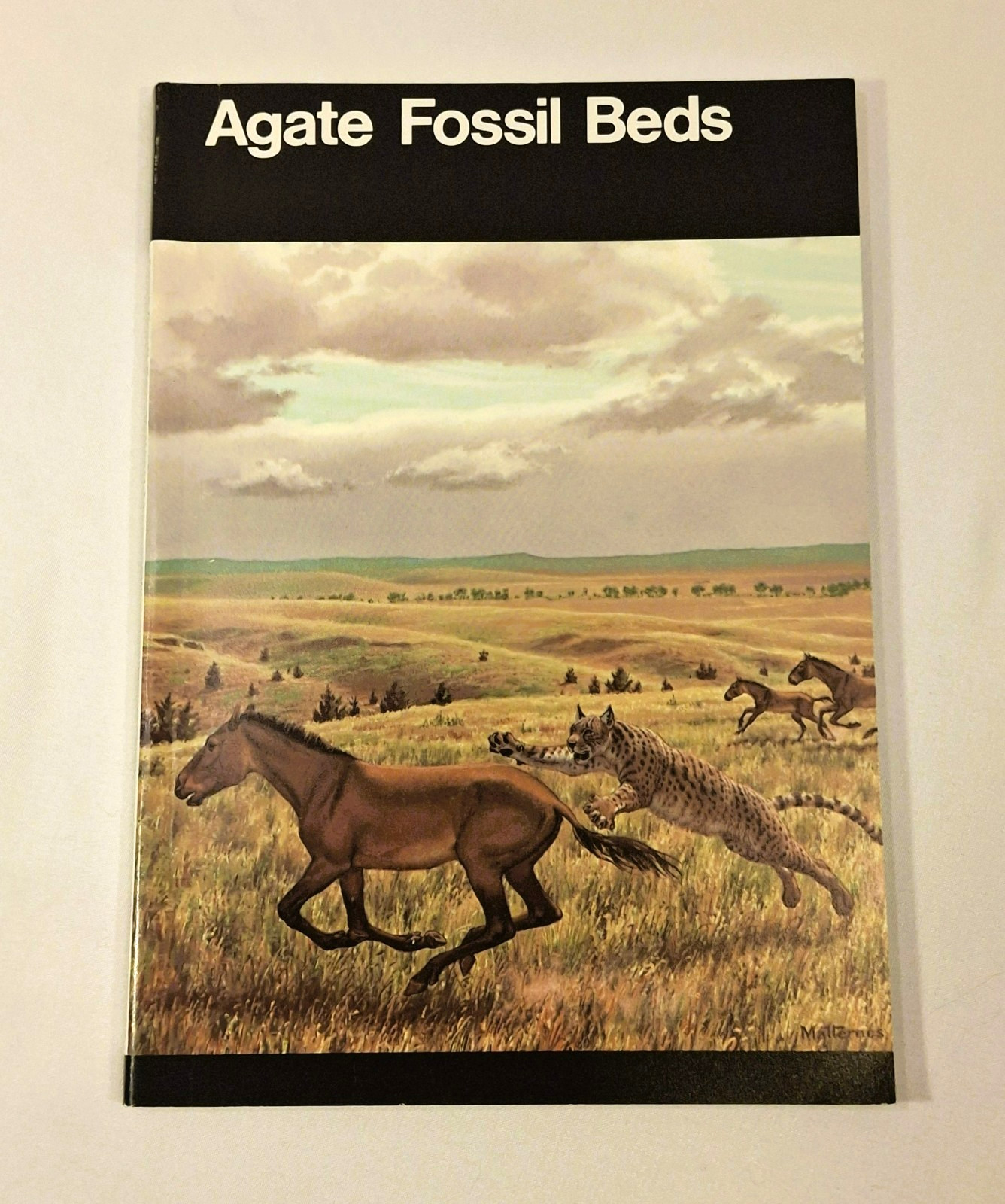 Lot 5 Vintage NPS National Park Handbooks Agate Salem Lowell Boston 1980-98