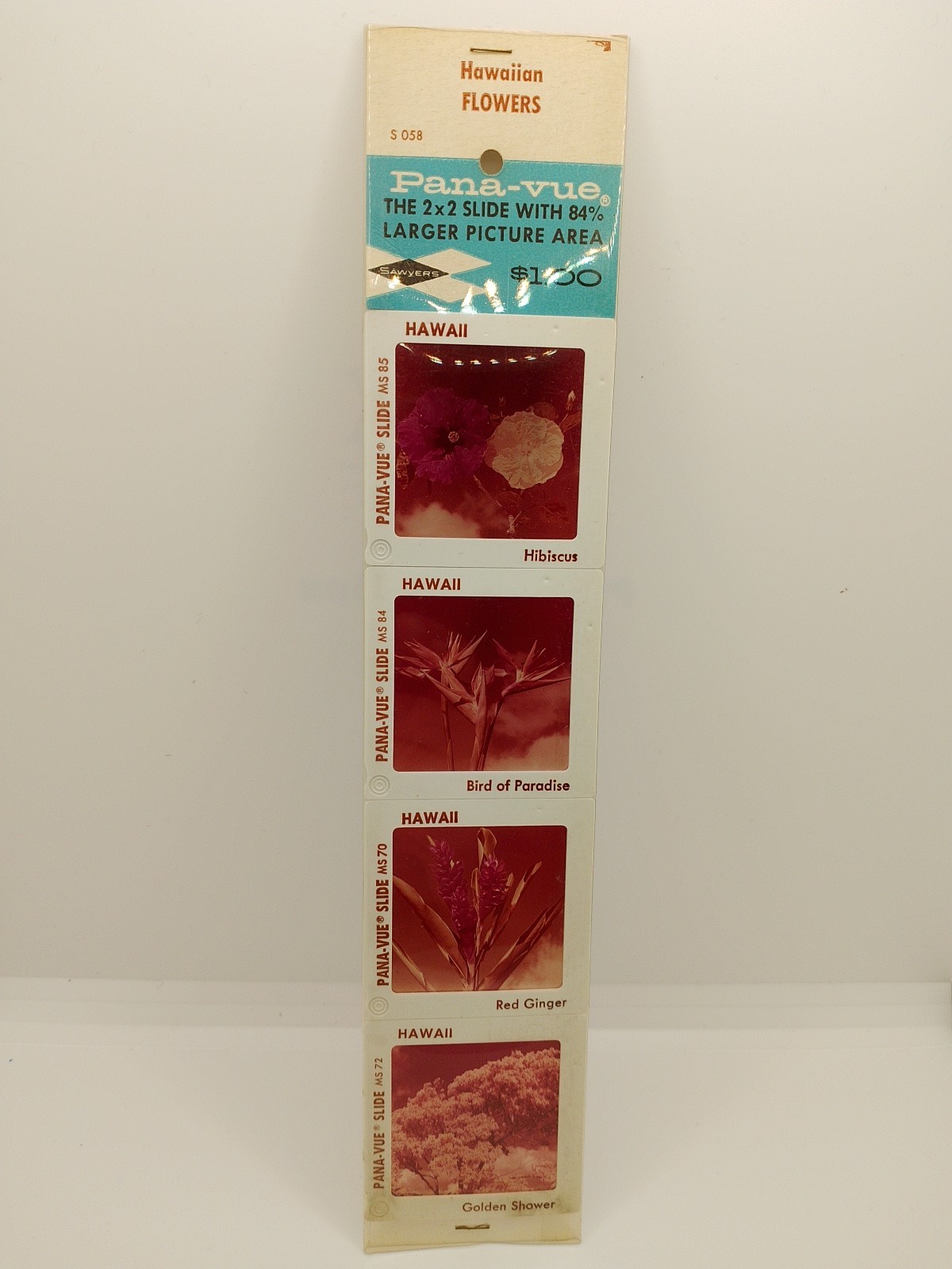 Vintage Pana Vue 4, 2×2 Color Slides Hawaiian Flowers Hibiscus, Bird Of Paradise