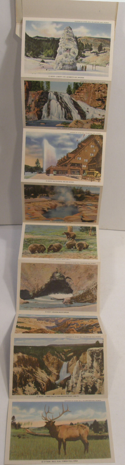 VINTAGE c1937 HAYNES SOUVENIR FOLDER POSTCARD YELLOWSTONE PARK SERIES A B C D