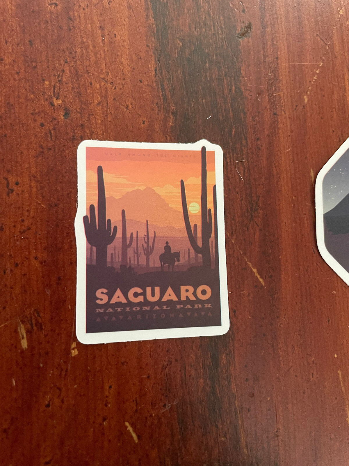 2 Set Saguaro & Petrified National Park Outdoor Wilderness Sticker Decal