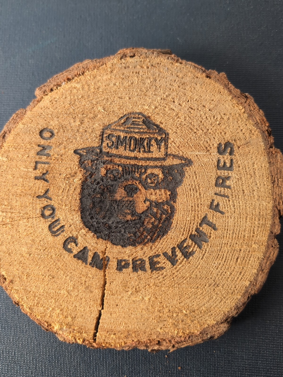 Smokey Bear Only You Can Prevent Forest Fires Wood Plaque Branding