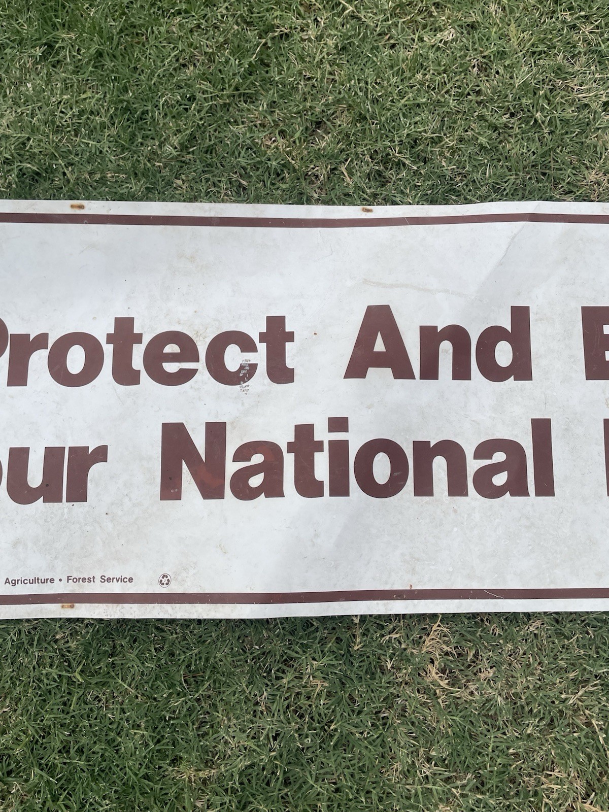 1990s National Forest Service Paper Sign protect And Enjoy Your National Forest