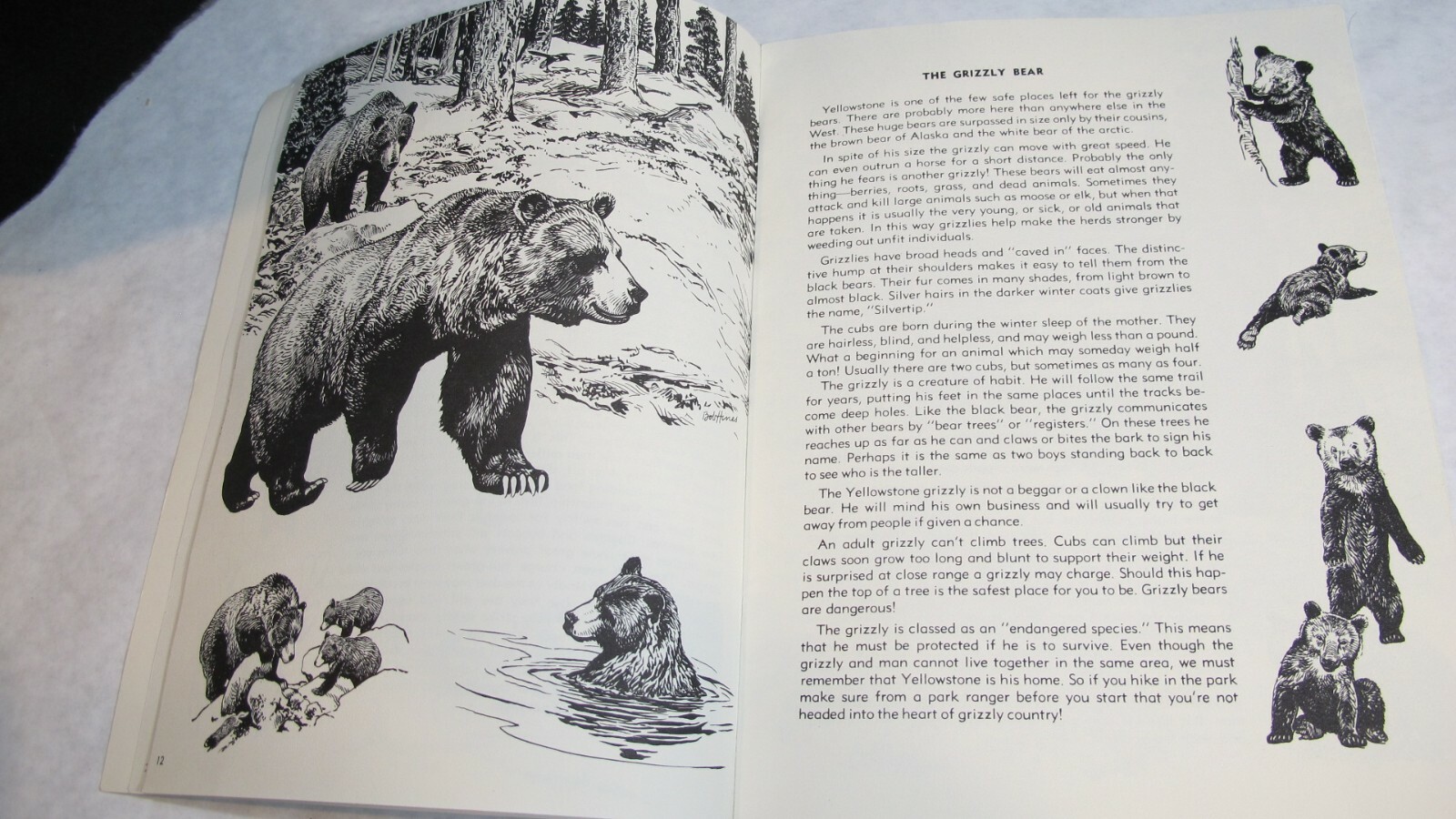 Animal Friends of Yellowstone Fran Hubard Bob Hines 1970 National Park ~COMPLETE
