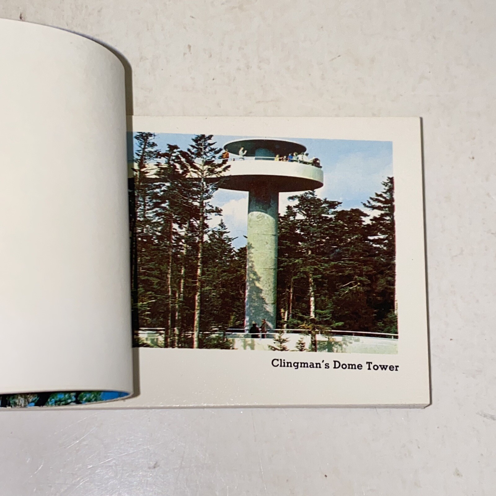 Vintage Great Smoky Mountains National Park Souvenir Color Photo Picture Book