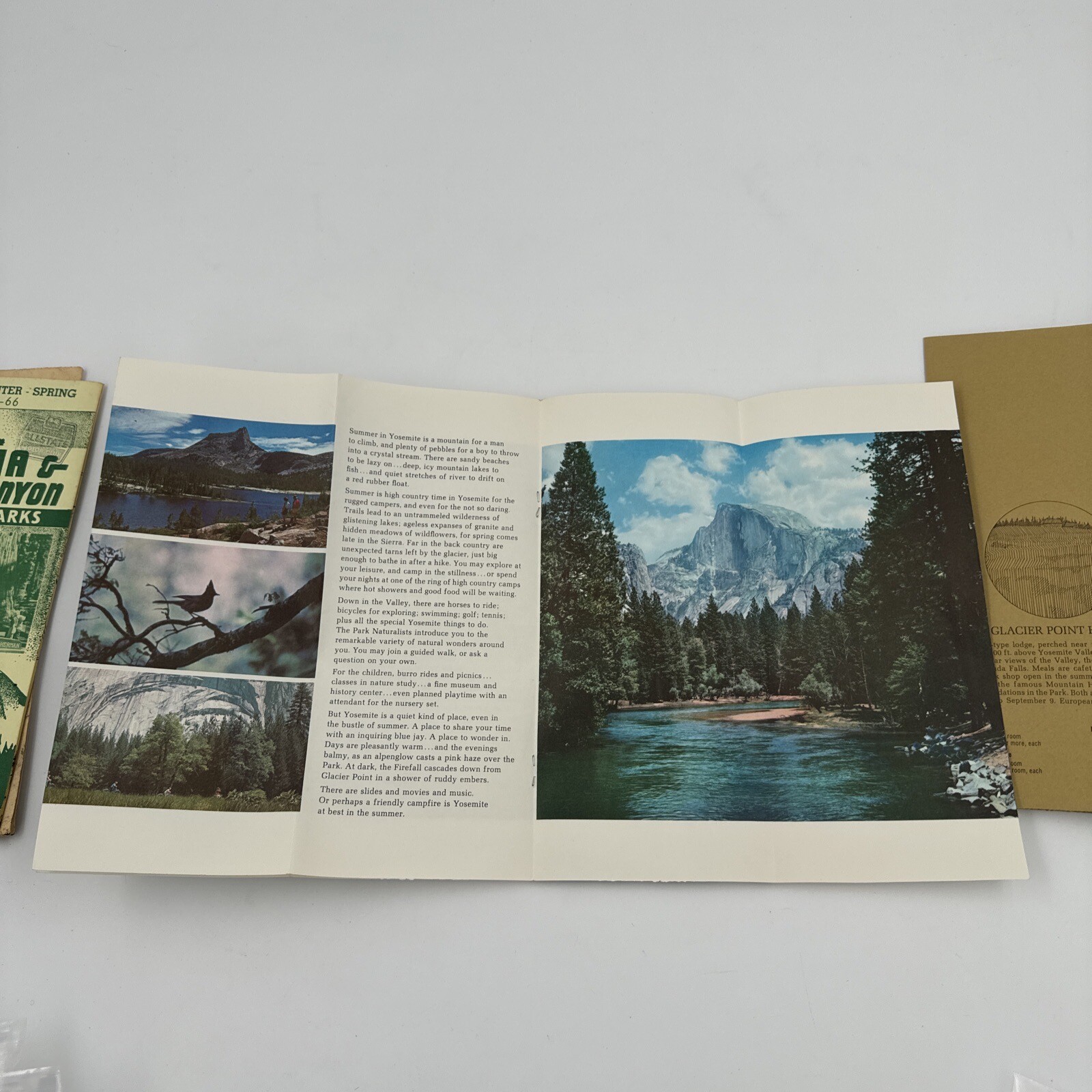 Vintage 1966 National Park Brocures Yosemite Sequoia Kings Canyon Muir Woods