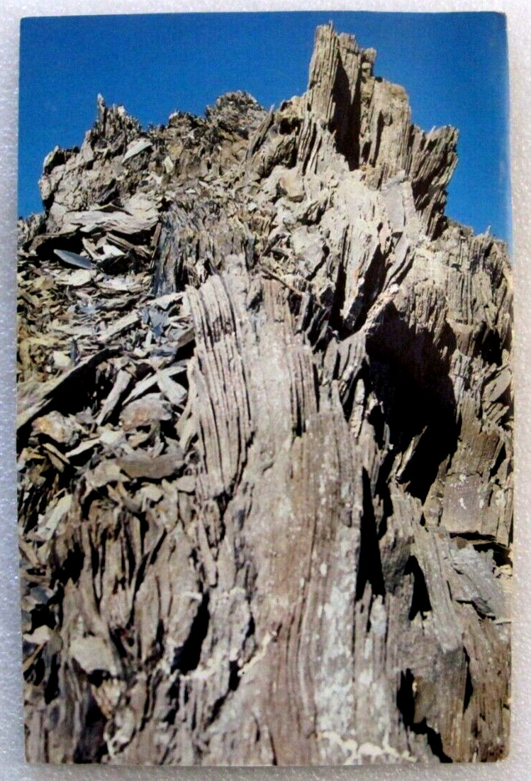 Vintage Olympic National Park Geologic Guide Booklet From The 80’s