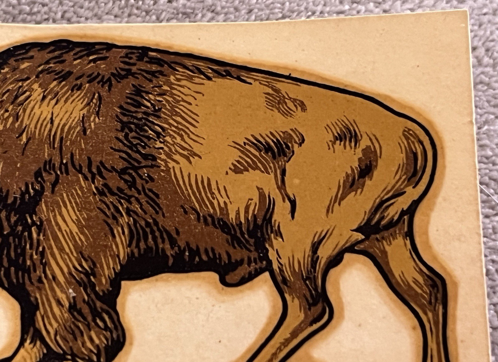 1948 Canada’s National Parks Bison Buffalo Car Window Decal Original Transfer