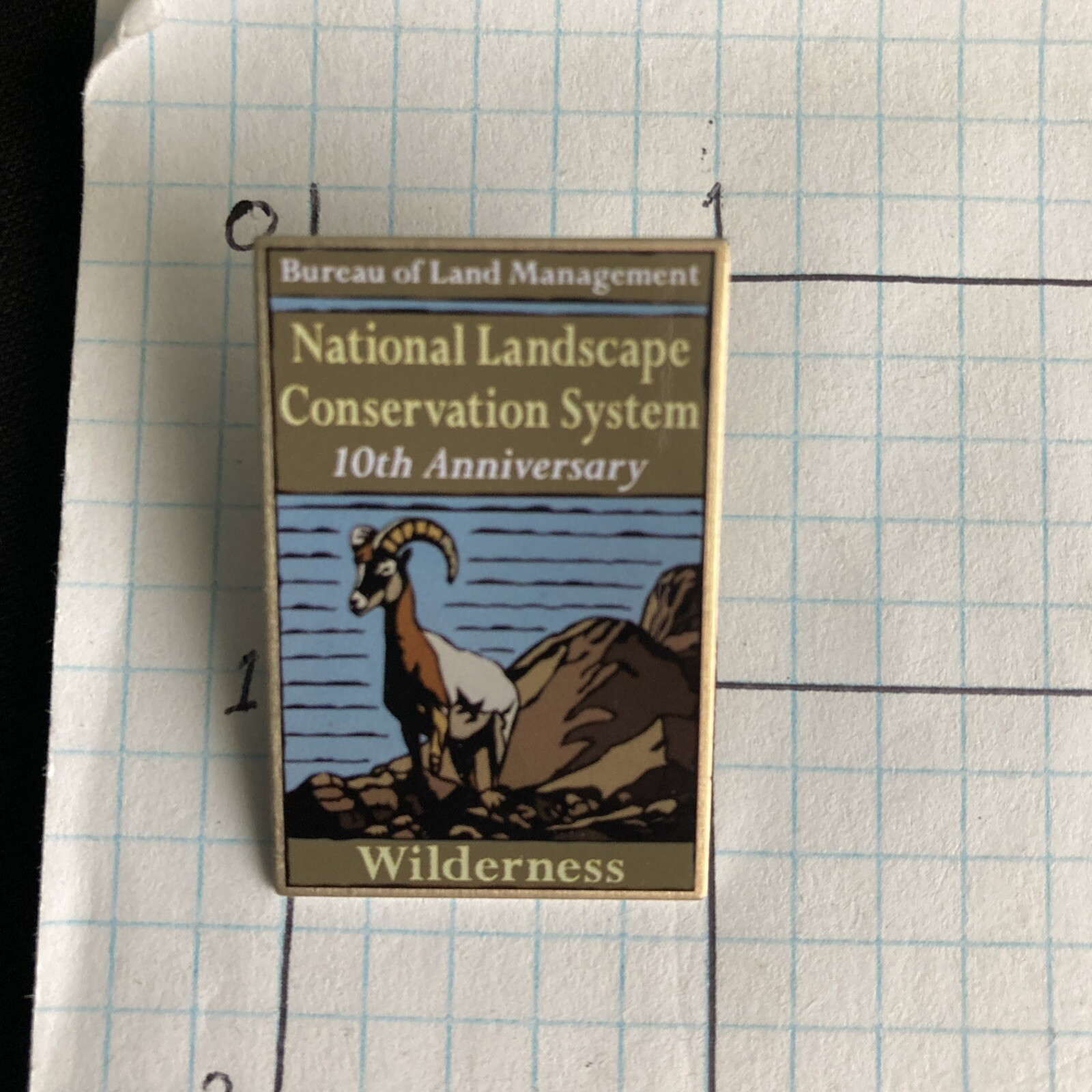 National Landscape Conservation System Lapel Pin Wilderness 10th Anniversary BLM