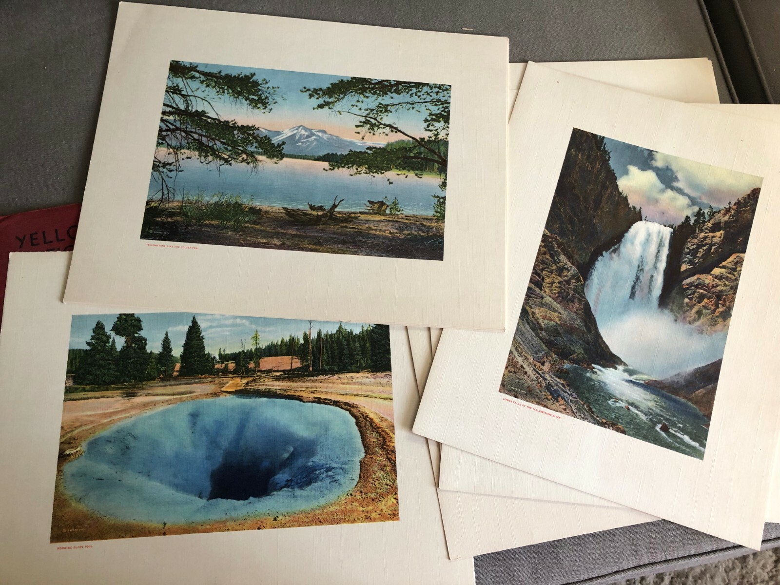 VINTAGE RARE WEST SCENICS: Yellowstone National Park by Haynes Tinted Photos