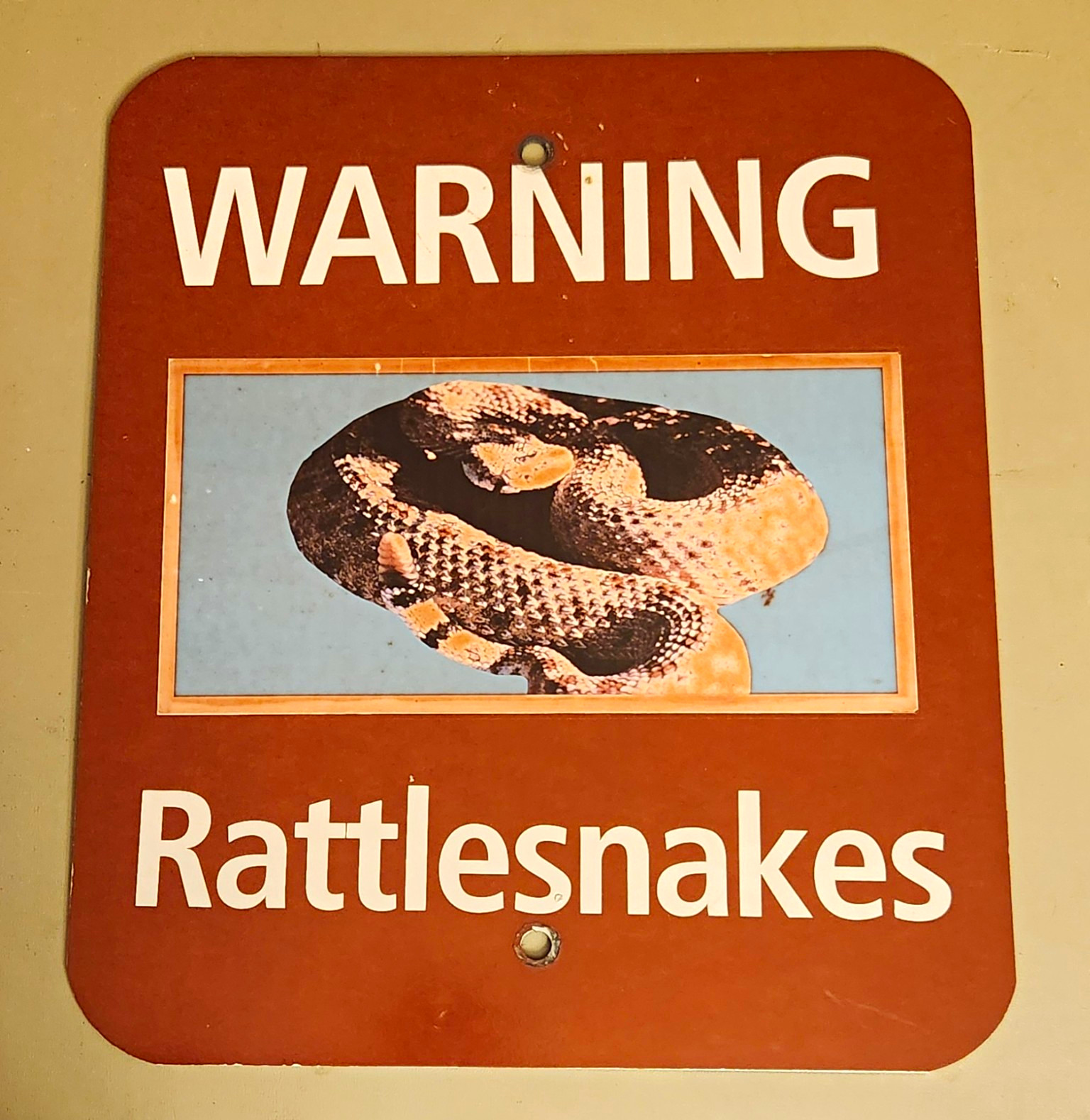 RARE Death Valley National Park WARNING Rattlesnake 14×12 Thick Metal Sign Snake