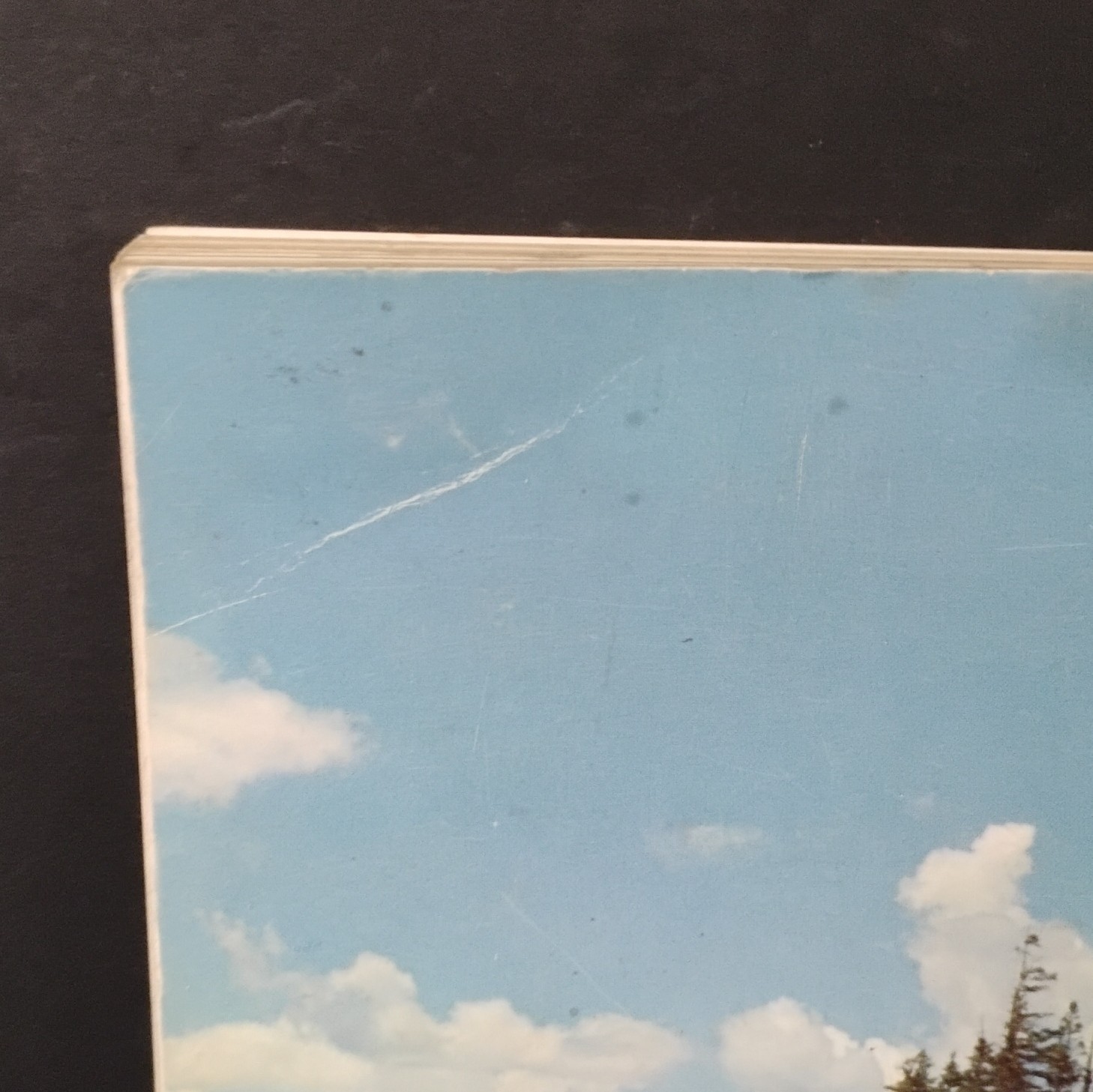 Wild Flowers of Zion Bryce Canyon Cedar Breaks National Parks 1958 Spiral Bound