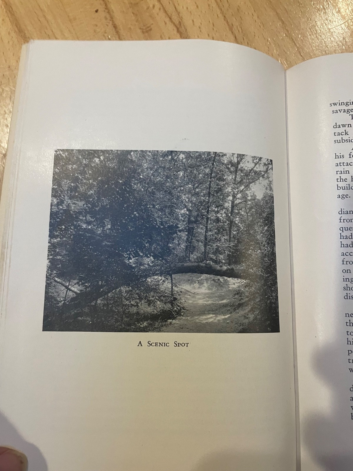 Vintage Starved Rock IL State PARK BOOK THE HERITAGE OF SR W NICE TRAIL MAP ETC
