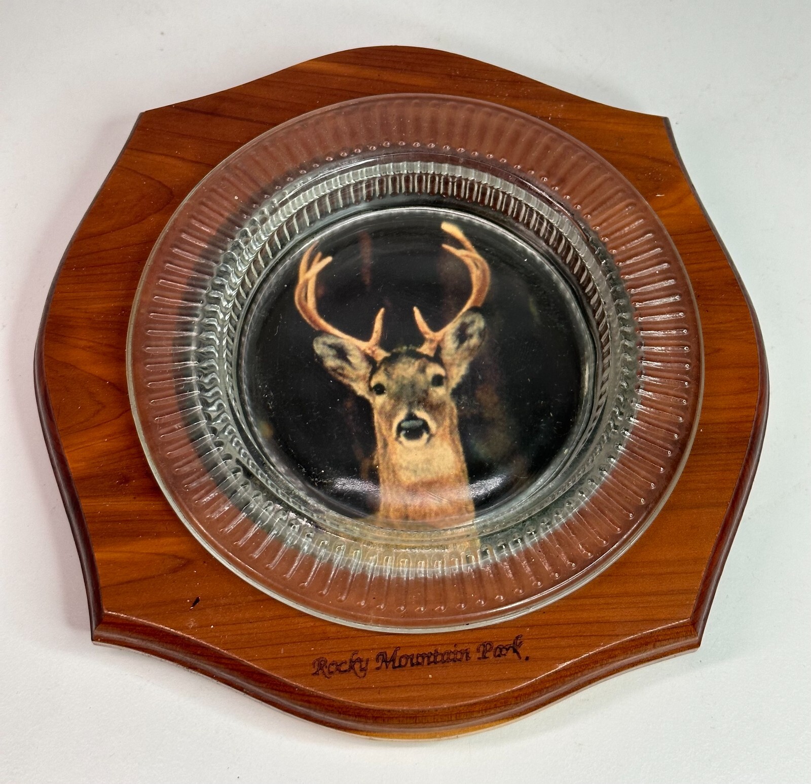Vintage Rocky Mountain National Park ASHTRAY WOOD AND GLASS WITH DEER