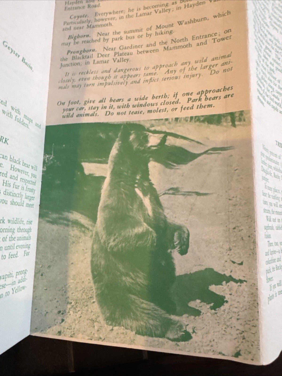 1961 YELLOWSTONE National Park Service Travel BROCHURE Wyoming Montana Idaho