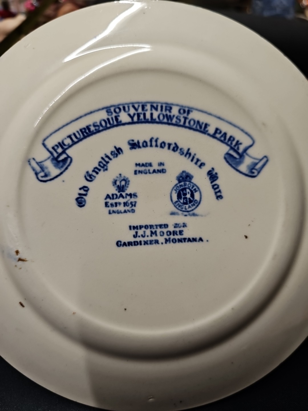 Old Faithful Geyser Blue & White Plate Old English Staffordshire ware Souvenir