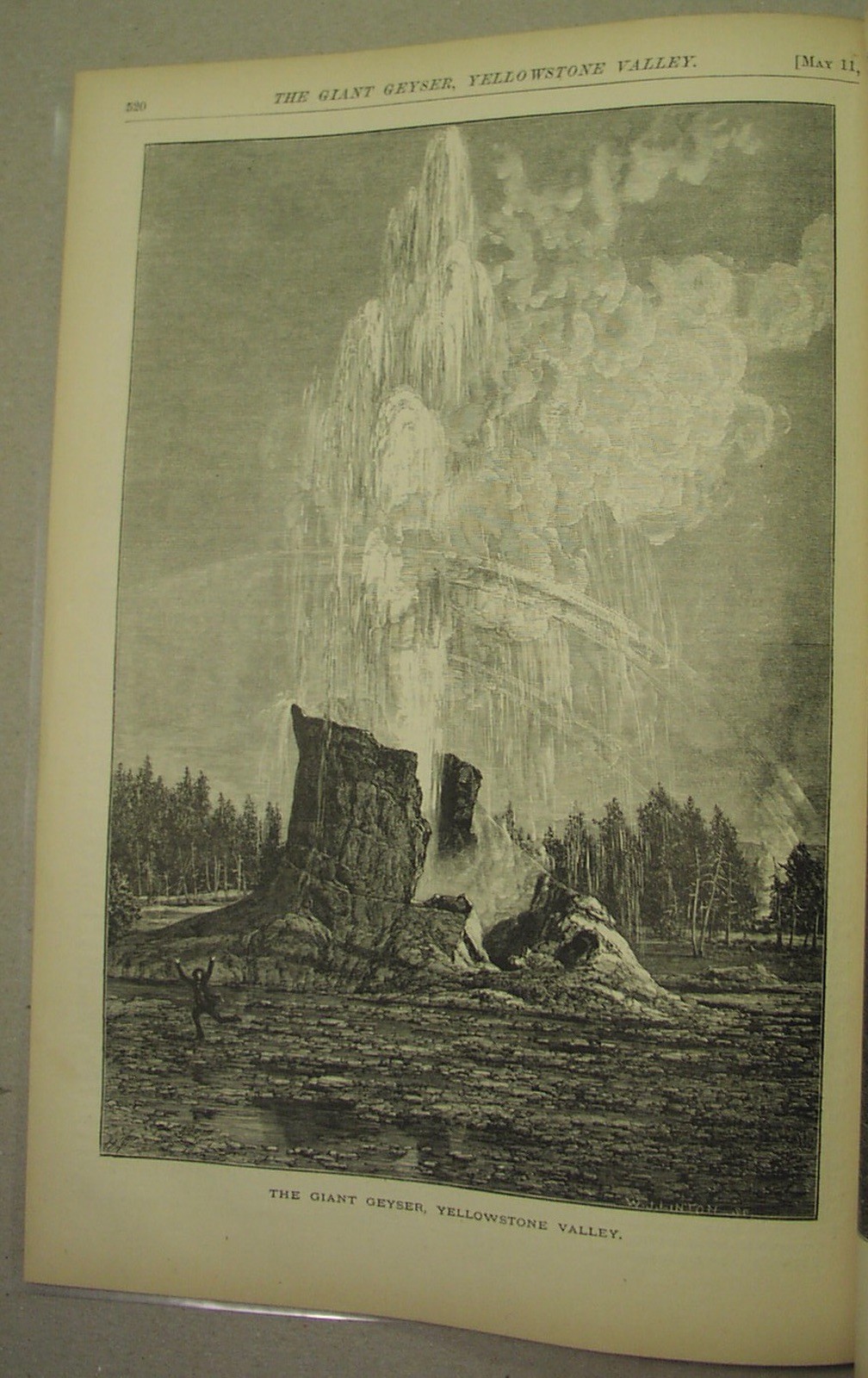 1872 – YELLOWSTONE PARK, at its beginning! Mary Sommerville, woman scientist