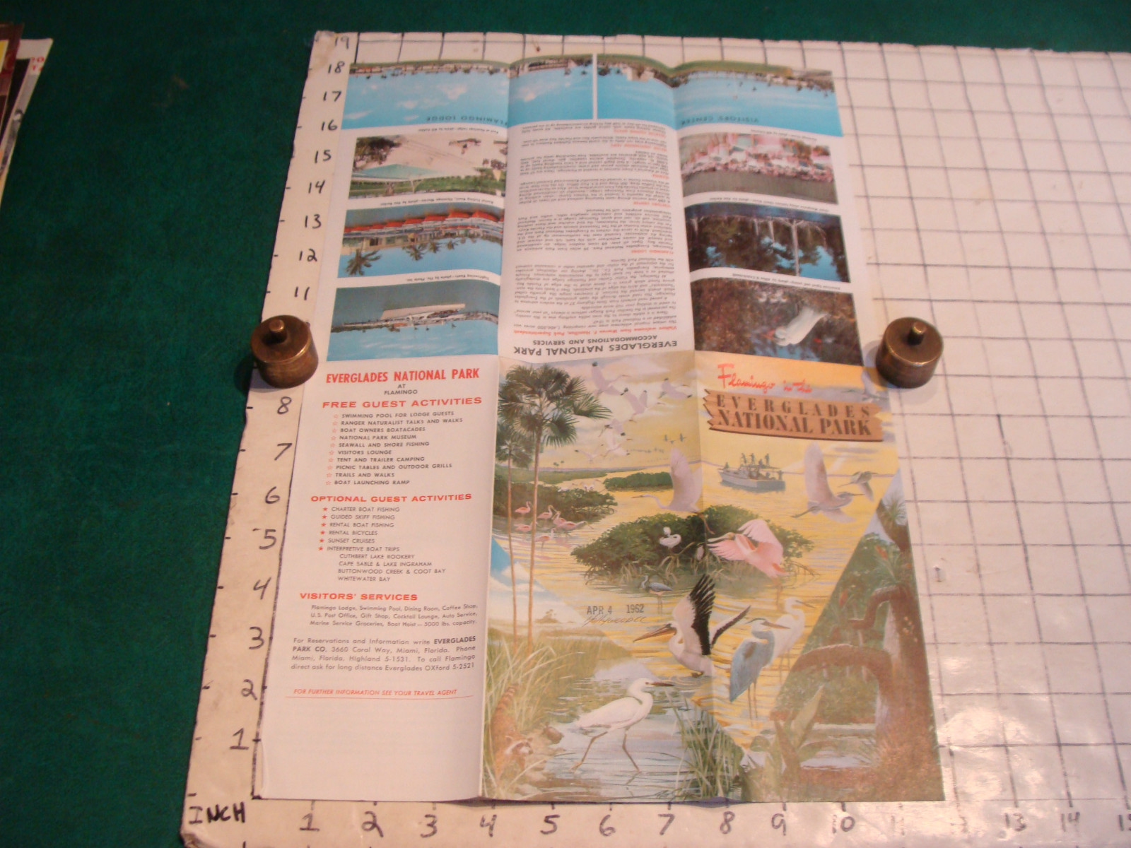 vintage HIGH GRADE travel brochure: 1962 EVERGLADES NATIONAL PARK flamingo