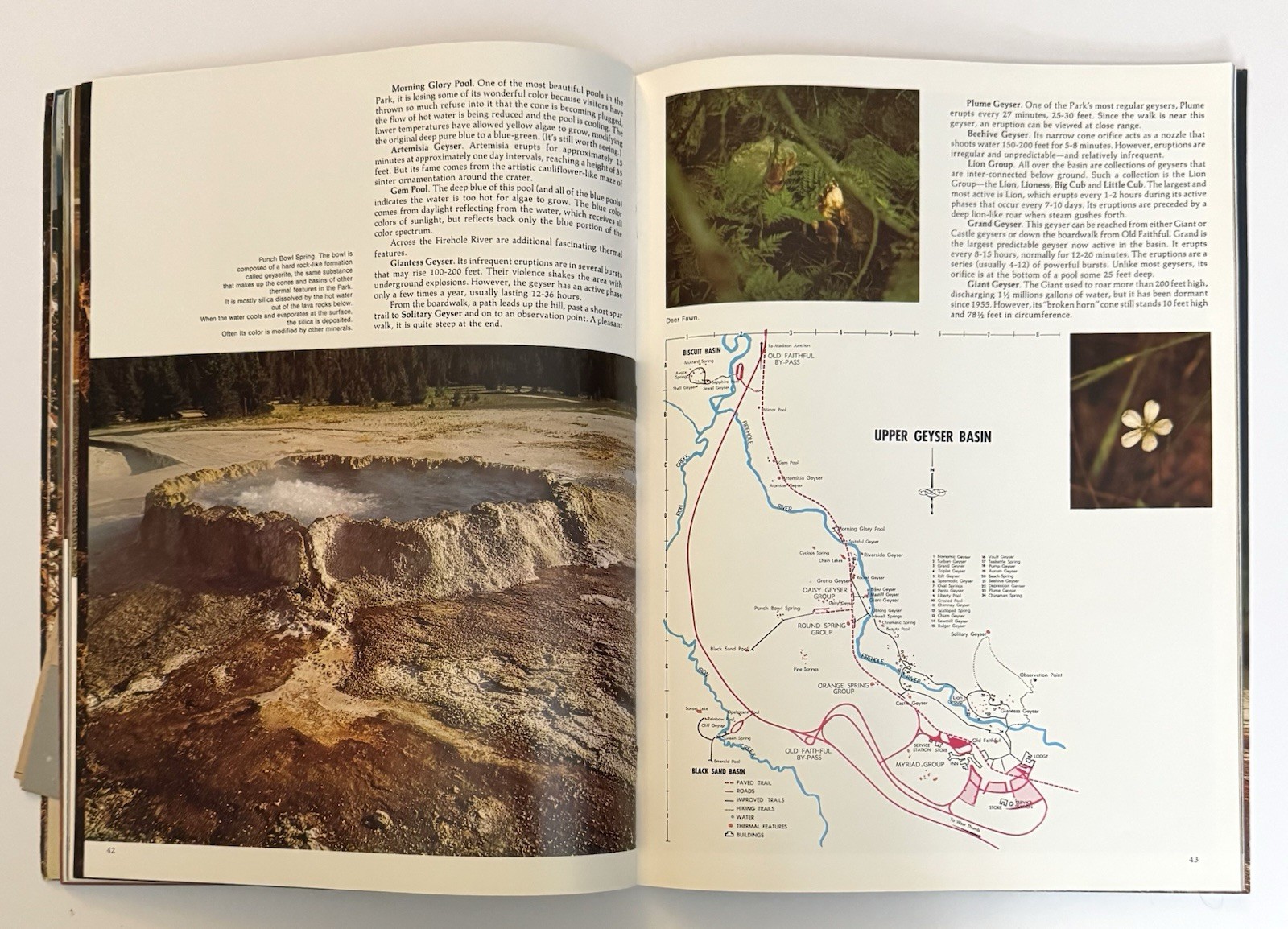 Vtg 1976 National Parkways Yellowstone National Park Photographic Large Guide