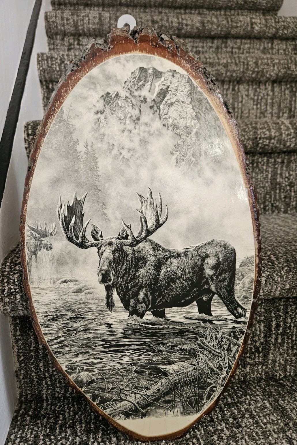 Bull Moose Rustic Wall Plaque Yellowstone National Park Souvenir Vintage 17×10