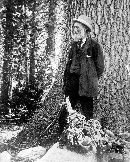 PORTRAIT OF CONSERVATIONIST JOHN MUIR 8×10 GLOSSY PHOTO PRINT