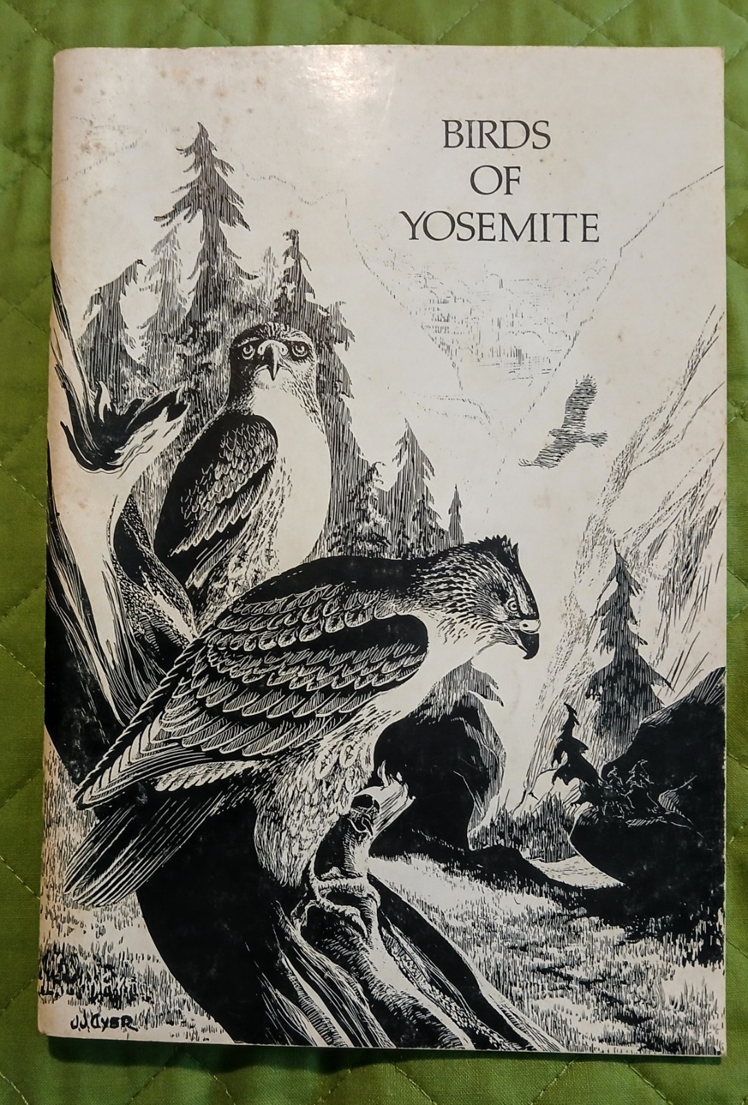 Yosemite National Park books from the 1970s – Lot of 3