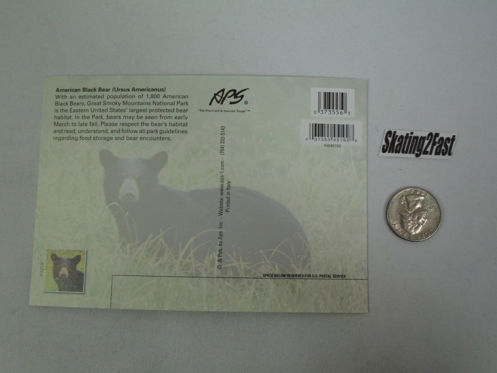 Great Smoky Mountains National Park Black Bear Postcard Patch Pin Sticker