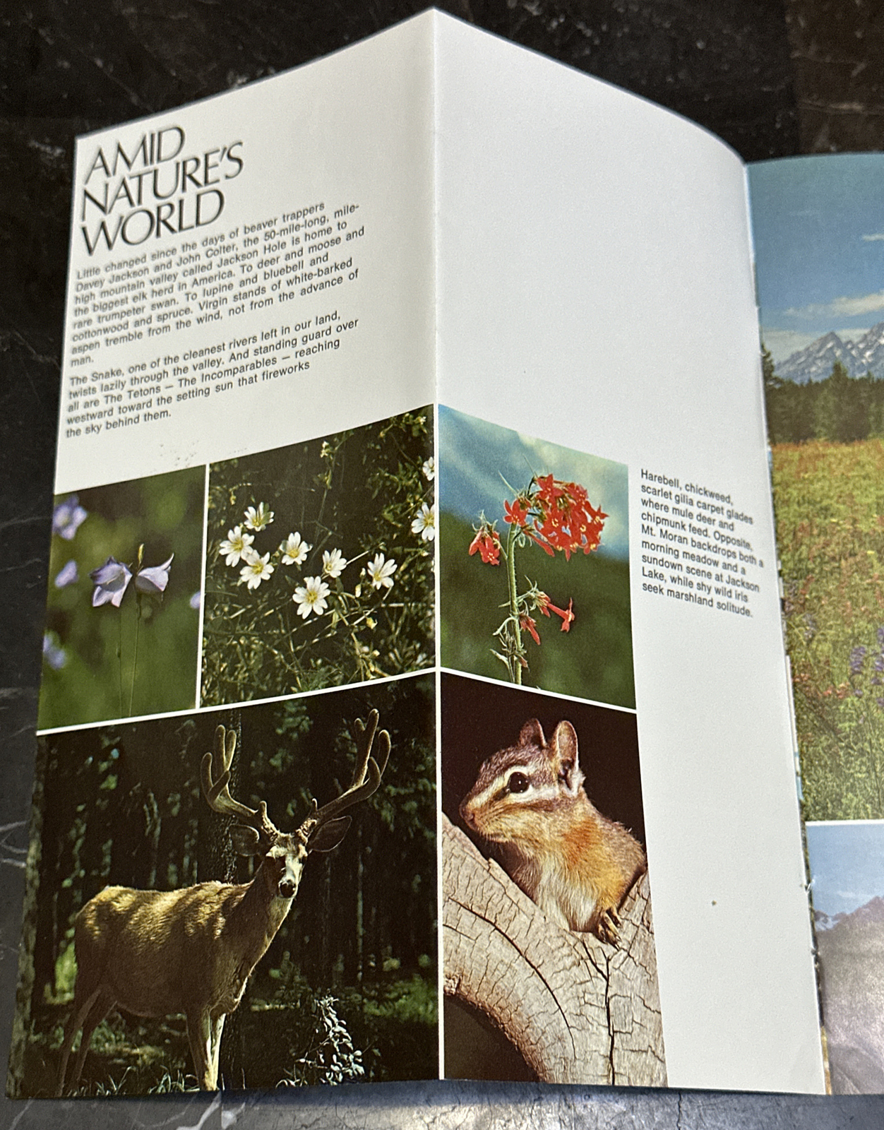 Vintage 1973 Grand Teton National Park Wyoming Travel Tourism Brochure