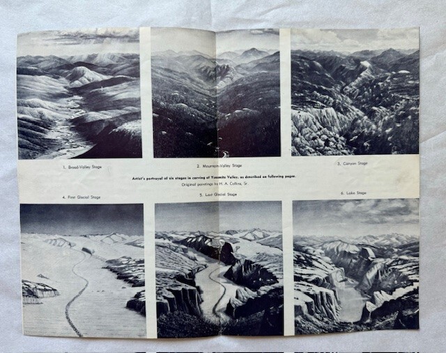 Yosemite Booklets of Wildflowers, Trees, Geology Rare 1938-39
