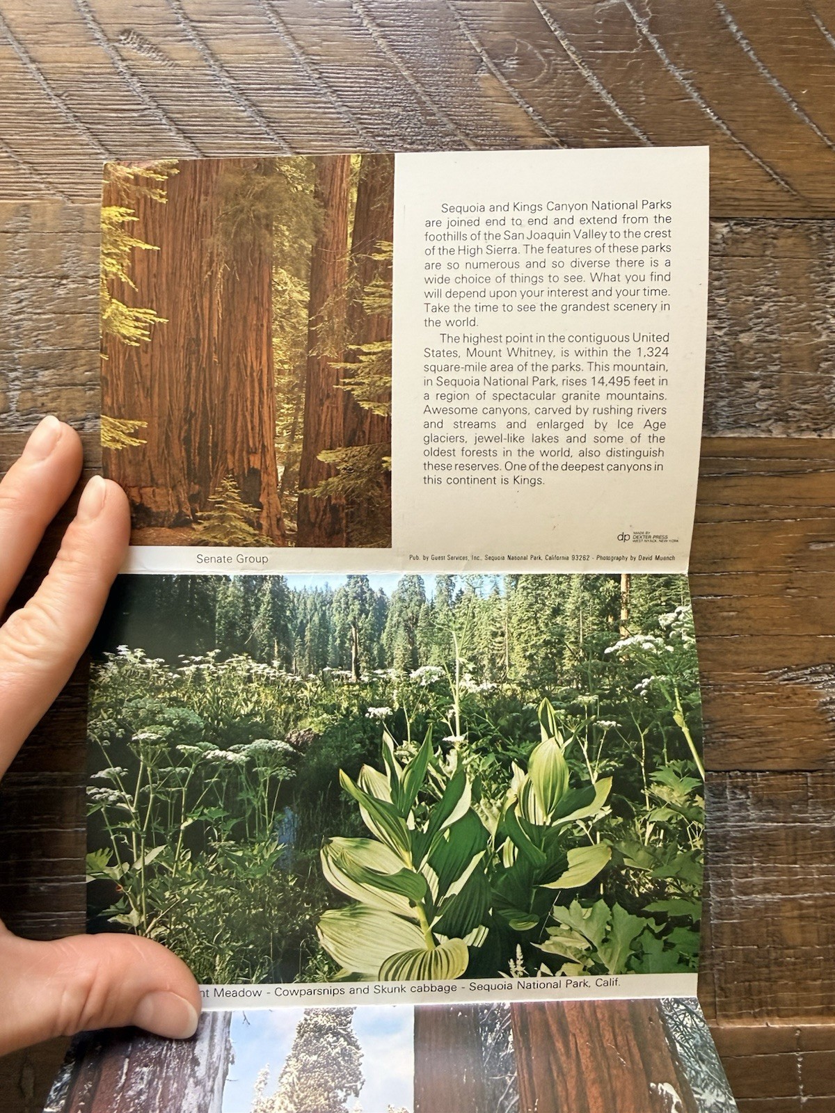 Vintage Sequoia National Park Accordion Pamphlet Photography By David Muench 85’