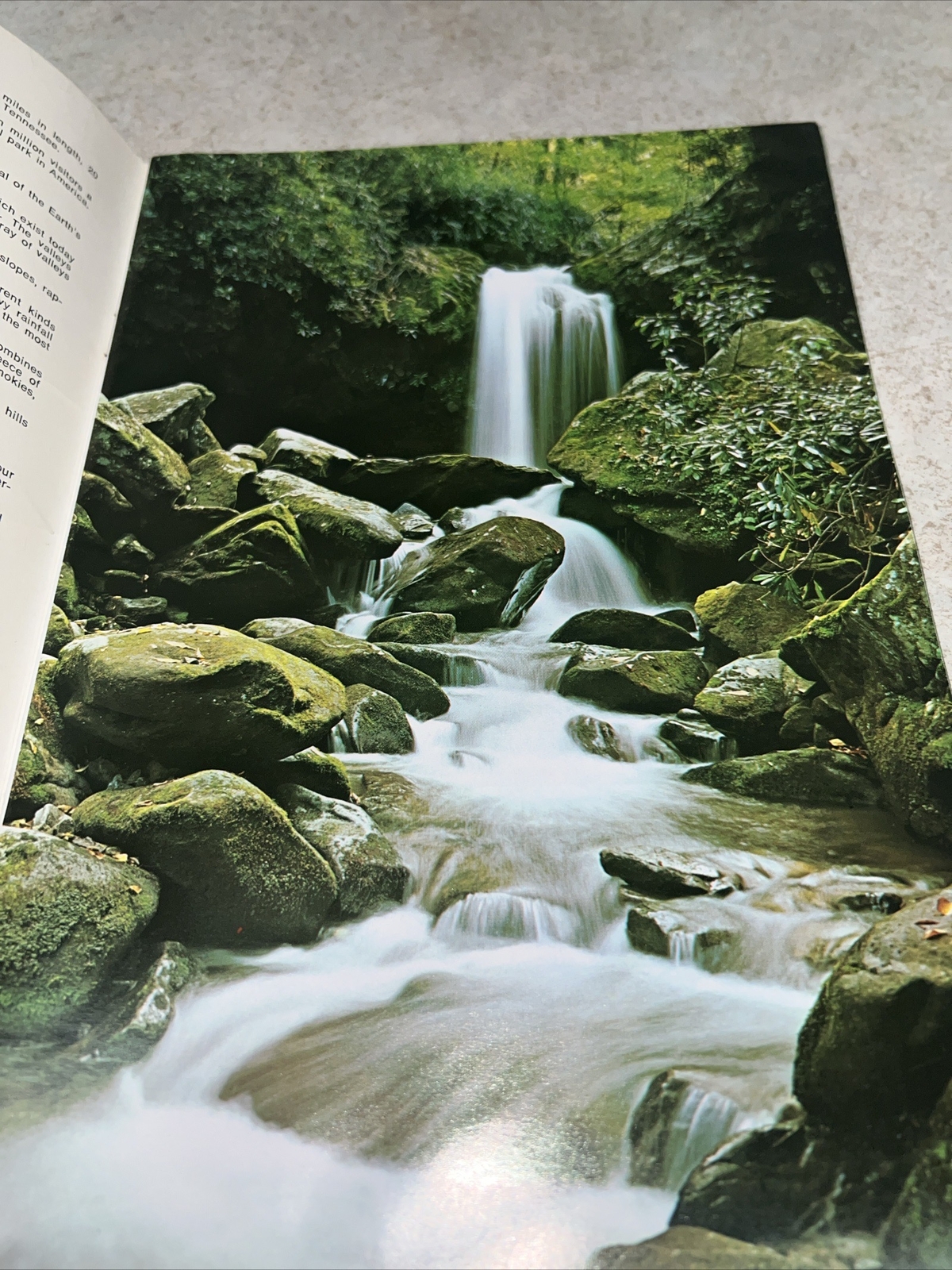 Great Smoky Mountains National Park Full Color Book North Carolina Tennessee