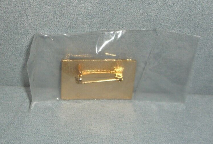 YOSEMITE National Park PANORAMA Hat Lapel Pin Collectible NEW