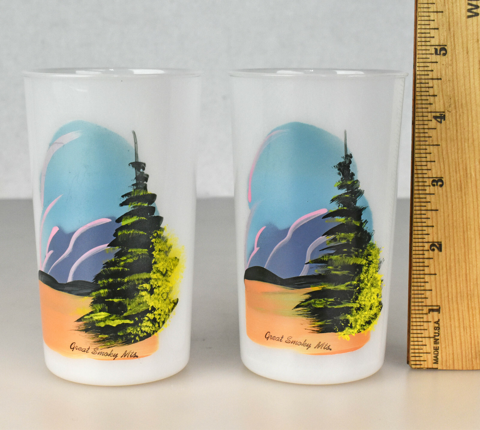 Pair of VTG Beacon Plastics Tumbler Cups with Hand Painted Great Smoky Mountains