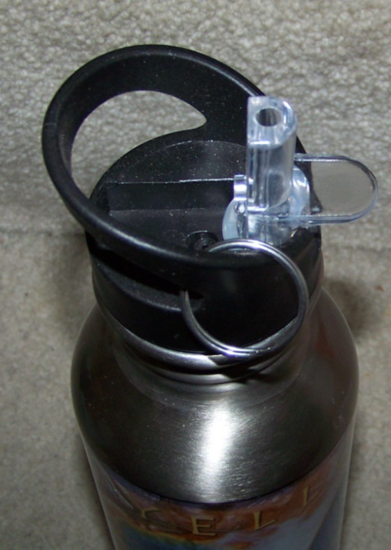 Yellowstone National Park aluminum metal travel bottle Old Faithful bears buffs