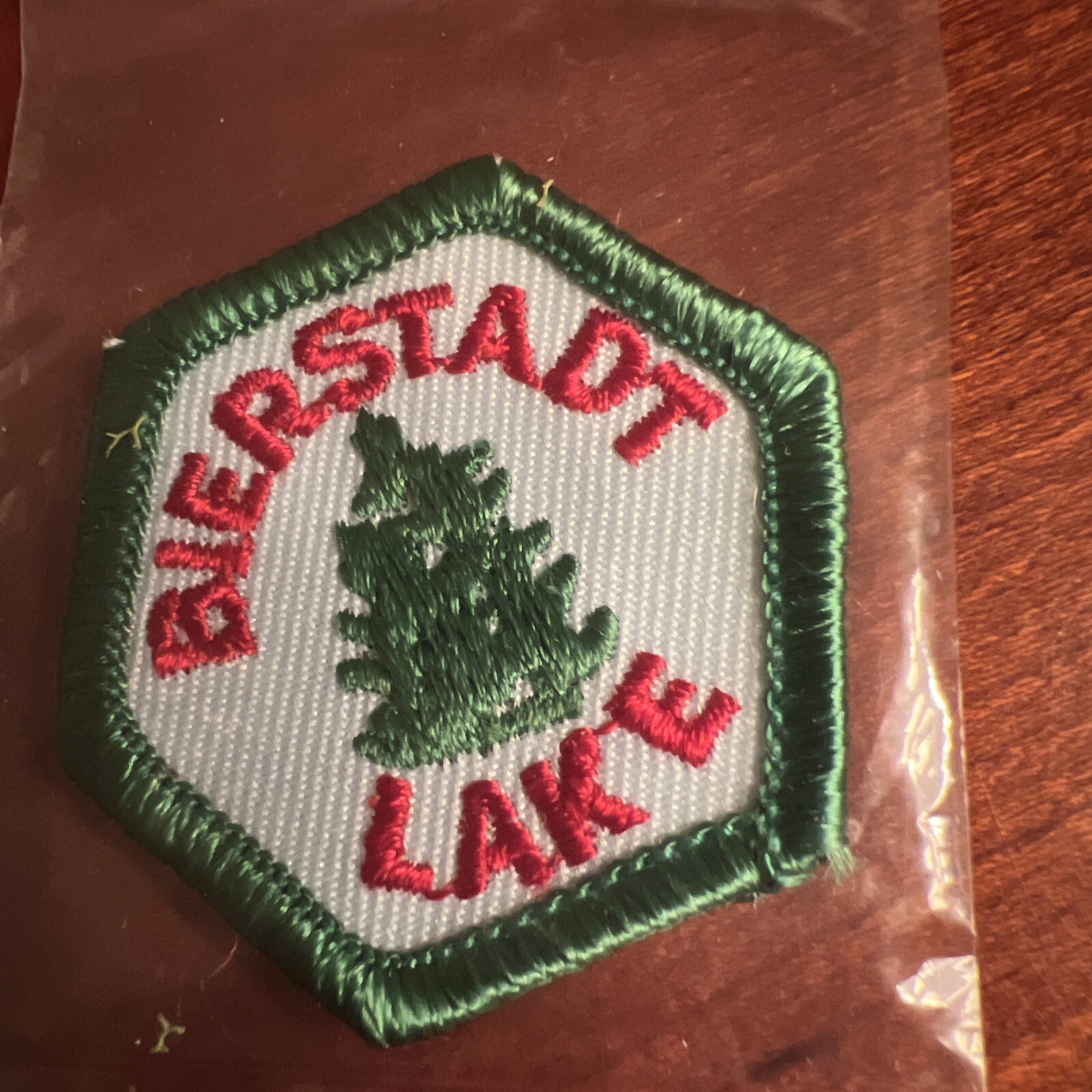 Bierstadt Lake Colorado National Park Trail Tag 1972 Patch Vintage NOS